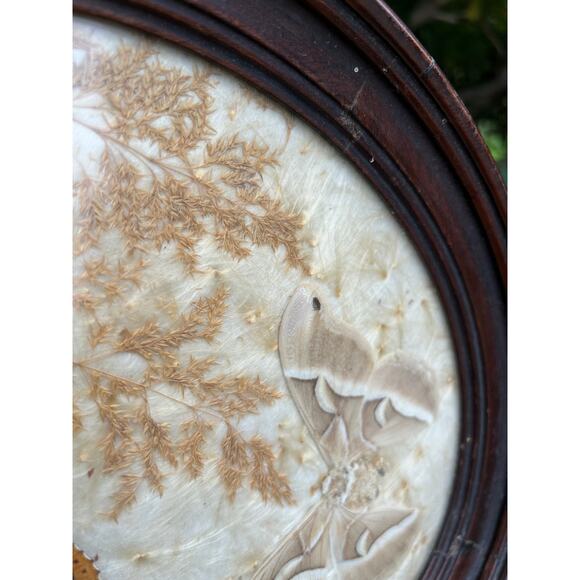 Vintage pressed butterfly and flower simple oval wood frame bubble glass - Picture 4 of 16